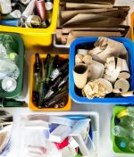 Compostabile home o industrial come distinguerli